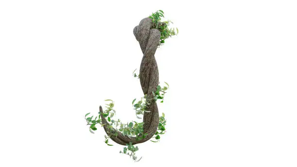 Tree grow or vine in the shape of the English text. Letter font J. with clipping path. 3D Render.