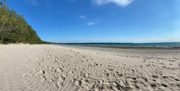 Sandy footprints, Sandbanks Provincial Park White sandy beach in Prince Edward County, Ontario, Canada. sandbanks ontario stock pictures, royalty-free photos & images