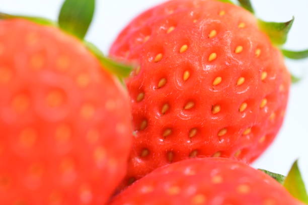 closeup beautiful fresh red strawberry, texture of fruit