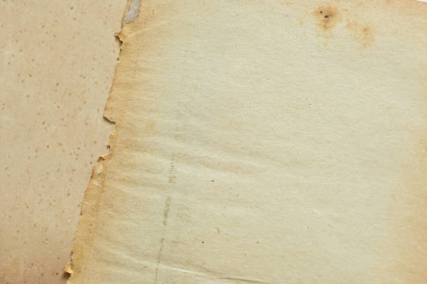istock old vintage paper texture background, page for design 1466867520