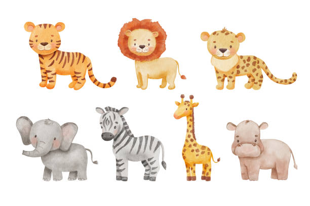 niedliche giraffe, tiger und elefant im cartoon-stil. aquarellzeichnung afrikanisches wildes tierbaby, isoliert auf weißem hintergrund. dschungelsafari tiere set - safari animals safari giraffe animals in the wild stock-grafiken, -clipart, -cartoons und -symbole