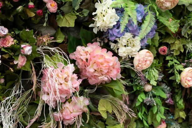 istock Flowers texture. Bright plants. Rose bud background. Beautiful plant. 1466895130