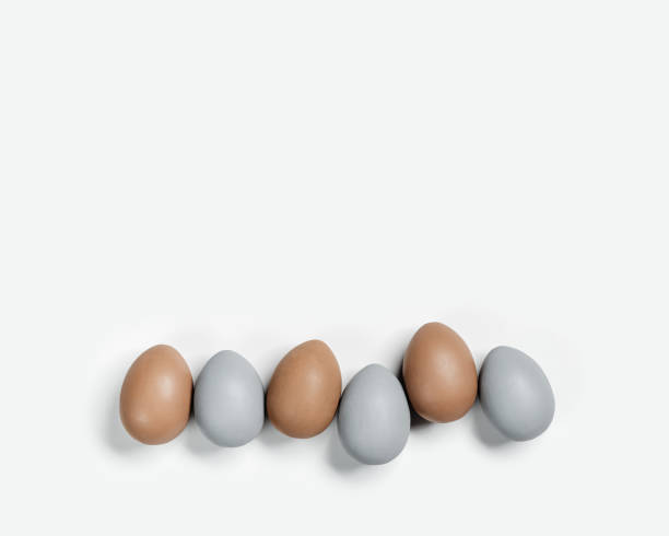 istock Dyed Easter eggs pastel colors gray, beige in row on white background. Happy Easter holiday, celebration food concept, chicken egg neutral trendy color. Top view table 1466897505