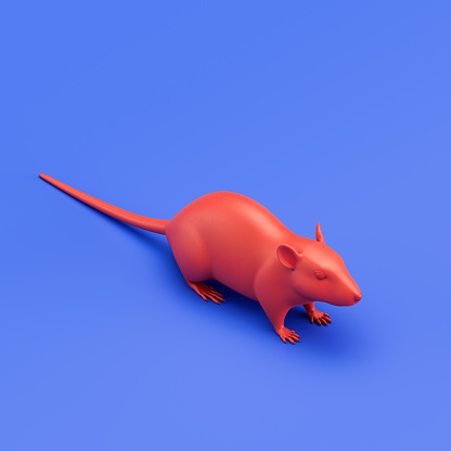 Rat monochrome single color animal toy made of red plastic, single animal from isometric view, animal, 3d rendering, nobody