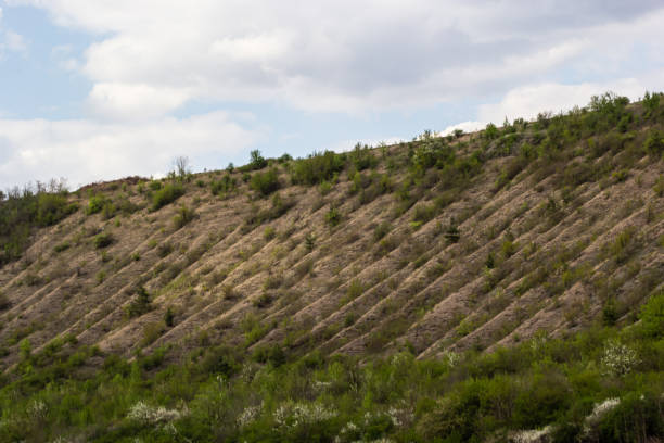 istock View ravine covered with greenery. Landscape valley with geological faults. Earthen mountains and bumps relief on against sky. Hill beam with protrusions and recesses. Grass and trees on slope canyon 1466906308