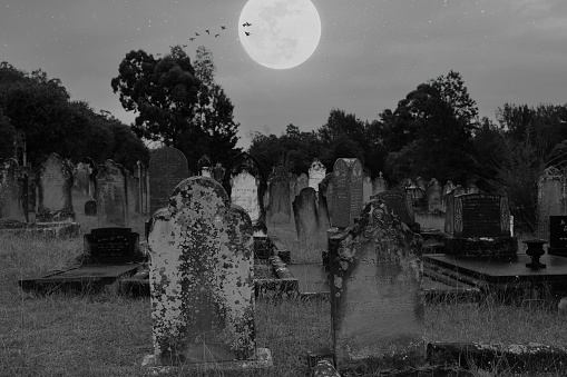Black and white cross tombstones of Christian graves in a cemetery at night with a full moon and bats illustrating the concepts of Halloween and the afterlife