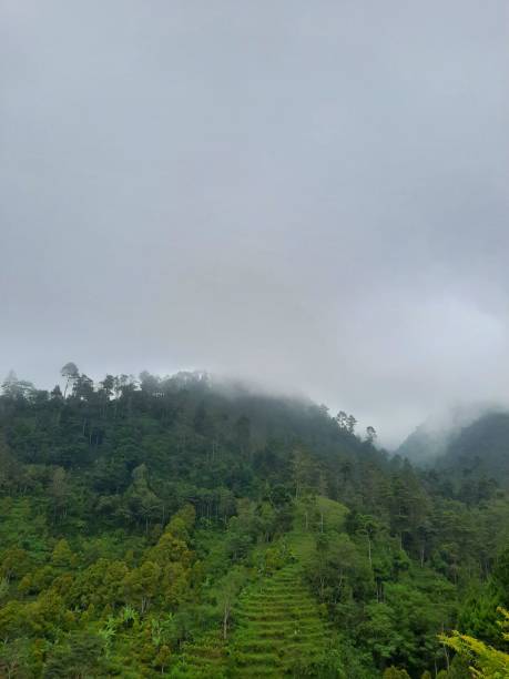 istock Nature landscape of Indonesia 1466908751