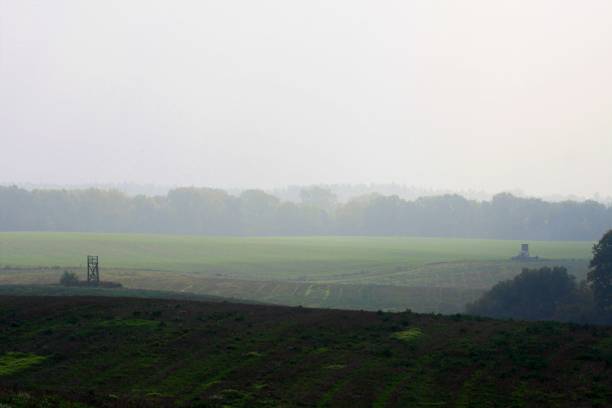 istock Early morning in the countryside 1466908978