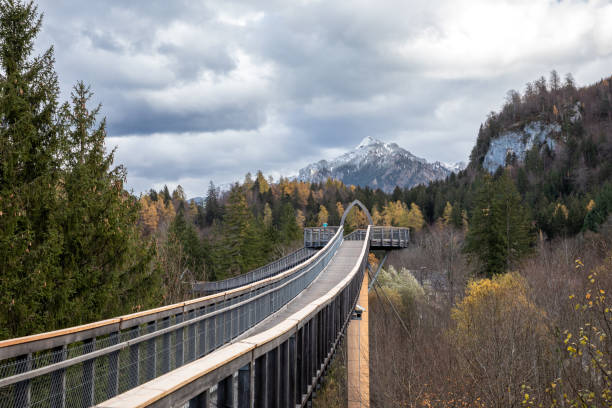 istock Treetop walk Ziegelwies in Fuessen 1466918121