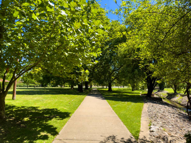 istock Pathway View, Anzac Park Glen Innes 1466924585