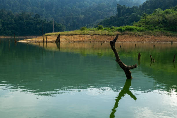 istock Scenic View Of Lake By Trees 1466924613
