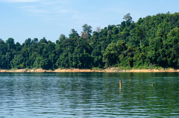 istock Scenic View Of Lake Against Sky 1466924625