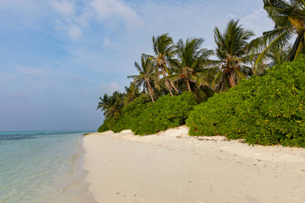 istock Views of the Maldives 1466927612