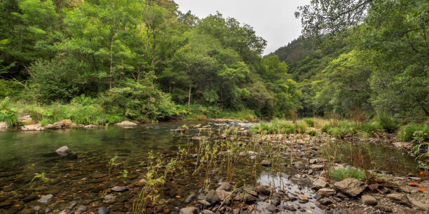 istock Fragas do Eume Natural Park, Pontedeume, Spain 1466930241