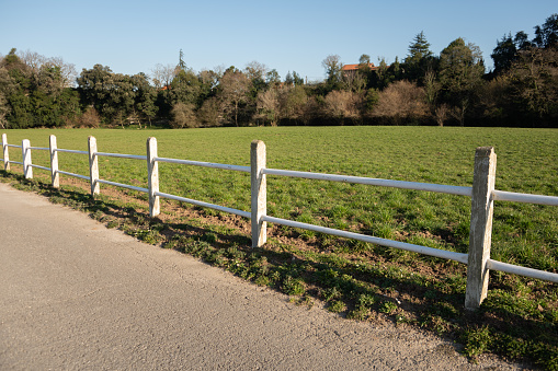 Field with a white wooden fence