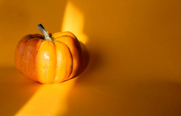 istock Pumpkin on orange background copy space isolated 1466932147