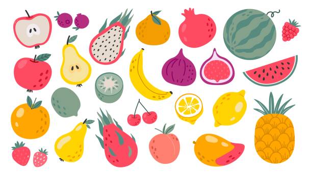 ręcznie rysowane owoce. doodle naturalne owoce tropikalne, organiczne jabłko, witamina cytryna i cytrusowa pomarańcza. zestaw wektorowy banana, słodkiej brzoskwini i arbuza - pomegranate fruit tropical fruit freshness stock illustrations