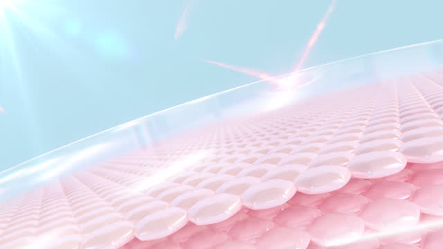 3D animation of skin cells. Skin cell with UV protection