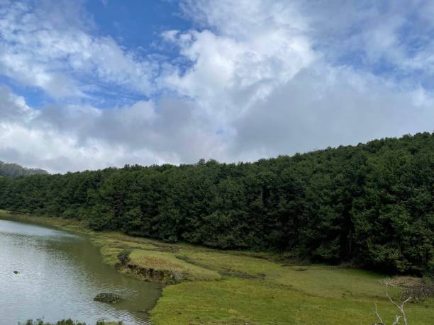 istock Scenic shot of trees by a river 1466940963