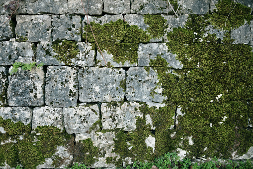 A stone wall with moss texture