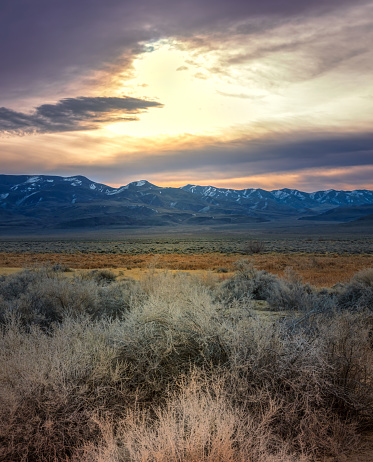 A beautiful view of the wild plants and mountains against dusk sky at sunset in Stillwater, Nevada, United States