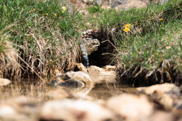 A stream flowing trough rocks and green and dry grass