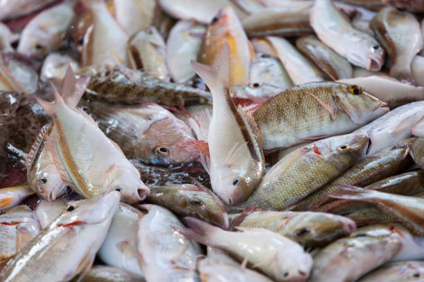 istock Fresh fish on the market display 1466944677