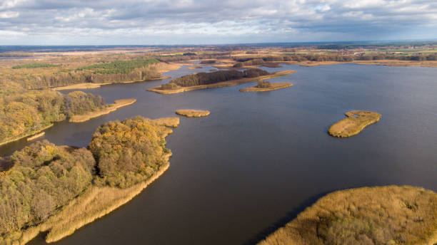 istock Top view of a lake with trees 1466948355