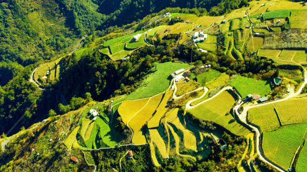istock Overhead shot of raod going through the mountain 1466948421