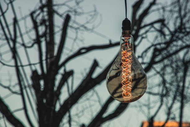 istock Closeup of a light bulb hanging on a tree 1466950279
