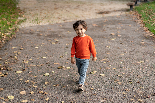 Baby boy walking in the park in autumn