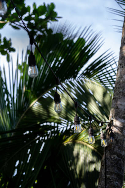 istock Vertical shot of a small lightbulbs suspended on tree on a blurry background 1466951660