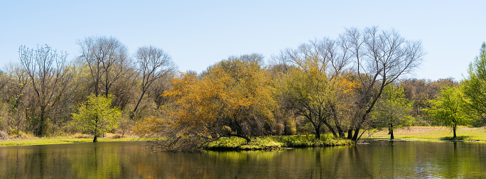 A panoramic view of a beautiful park with lake and trees on a sunny day