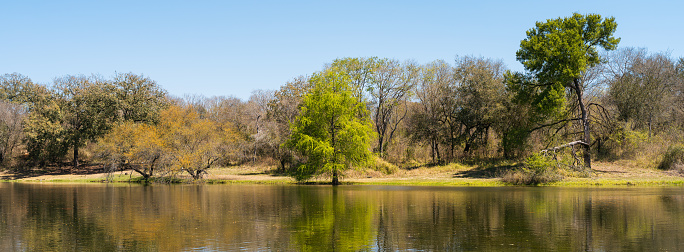 A panoramic shot of a lake reflecting the beautiful green trees on the water's surface