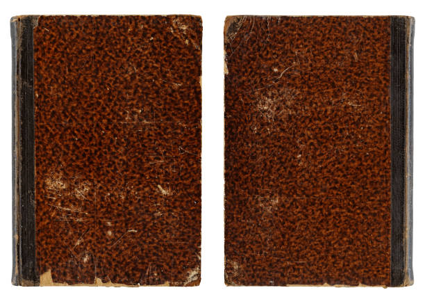 Big thick open book on white background.