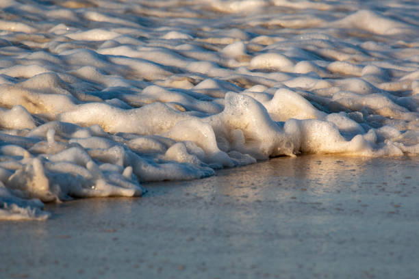 istock Sea wave with foam on sandy beach 1466955608