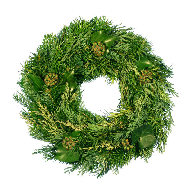 istock Christmas wreath on a white background. 1466956804