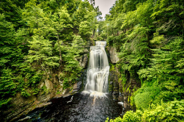 istock Beautiful view of waterfalls with long exposure surrounded by trees 1466957505