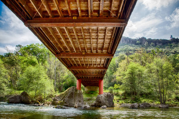 istock View under a wooden bridge in a forest 1466957756