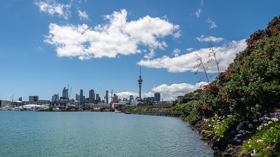 Auckland, New Zealand - December 28th 2022: The Sky Tower dominates the Auckland city skyline in New Zealand viewed across the harbour from Westhaven