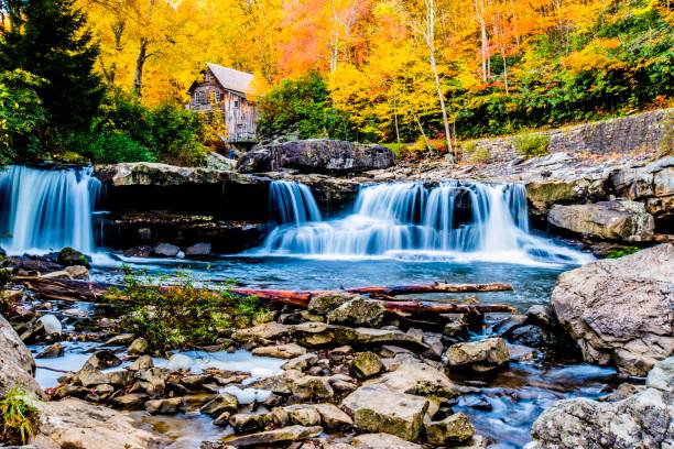 istock Photo of small pond with waterfall in forest 1466959095