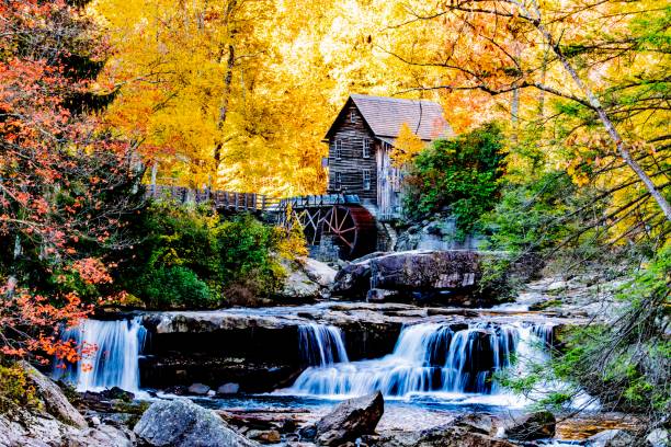istock Photo of small house on a river 1466959101