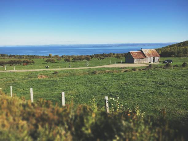 istock View of rural greenery fields in background of huts 1466959608