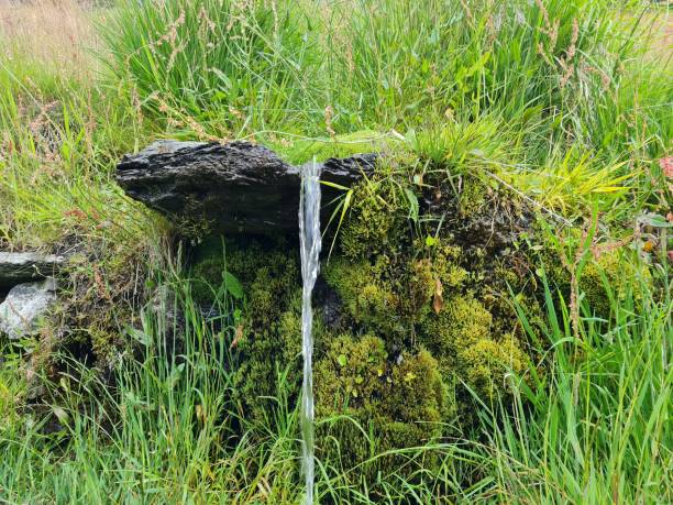 istock Closeup shot of a tiny waterfall in a forest during the day 1466963034