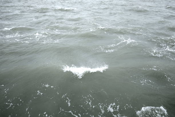 istock Closeup of ocean waves on a windy day 1466966585