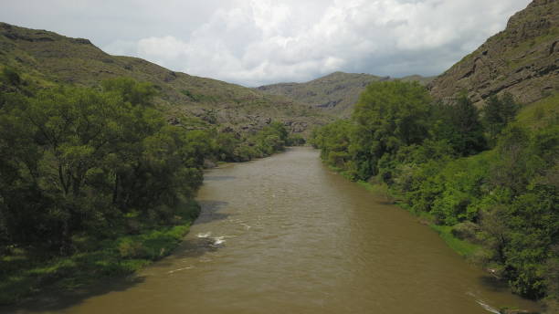 istock River surrounded by trees and hills on a cloudy day 1466966623