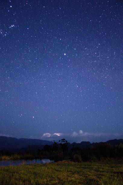 istock Vertical shot of a starry night 1466969262