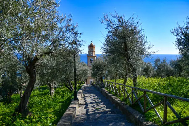 A small street in the green in Conca dei Marini, an Italian village on the Amalfi coast.