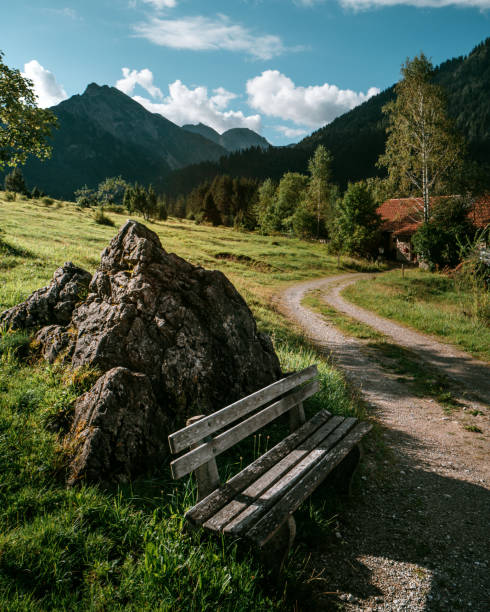 istock Vertical shot of a bench in nature near a path 1466971628