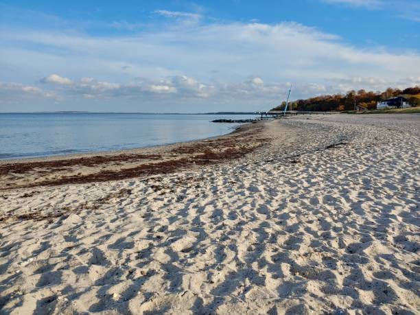 istock Beautiful view of a sandy beach 1466972967